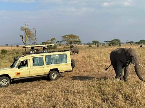 10-Day Safari & Zanzibar Combo