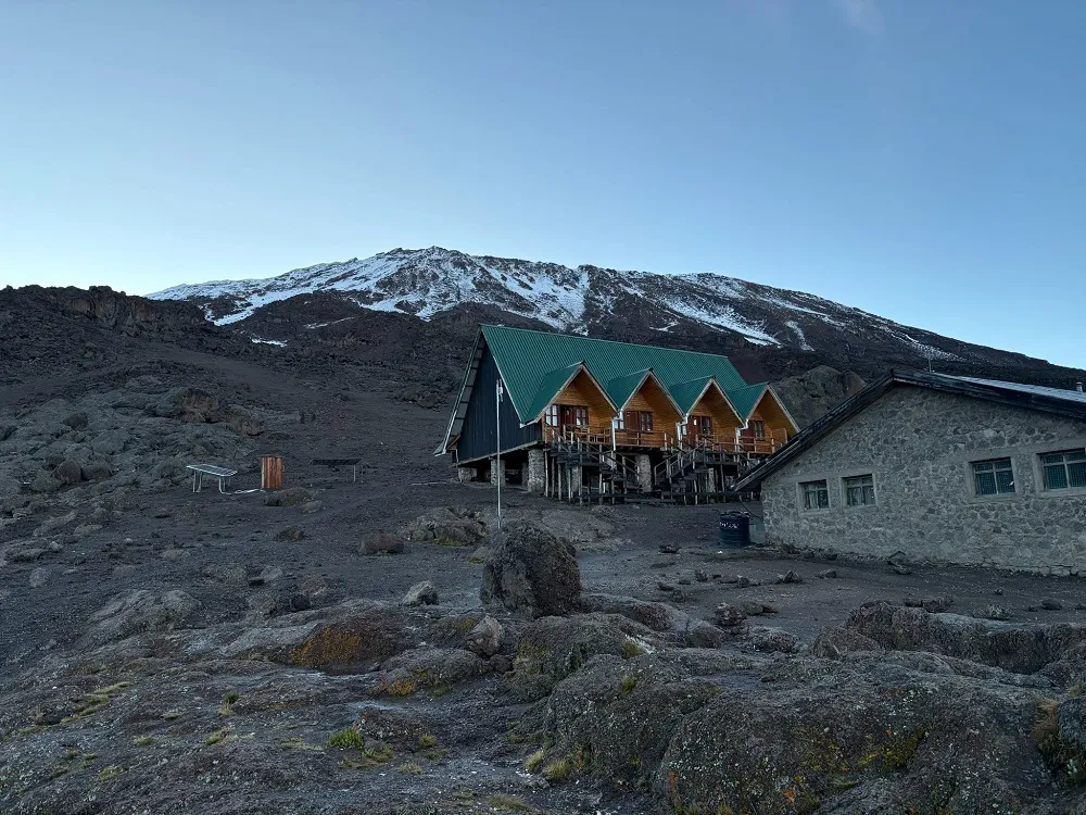 Lemosho Route 6-day Kilimanjaro — western approach through forest and moorland
