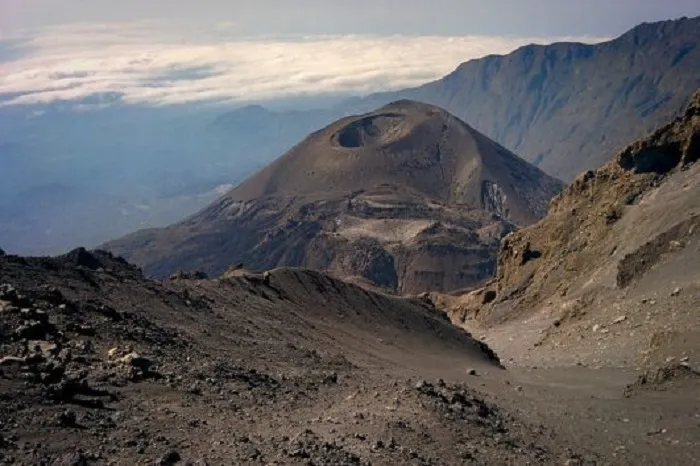 Mount Meru summit day — dawn view of Kilimanjaro from Socialist Peak