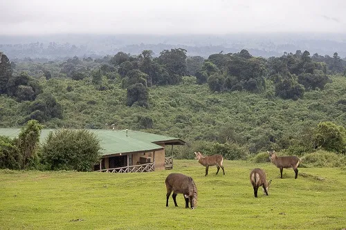 Karatu budget lodge comfortable Tanzania
