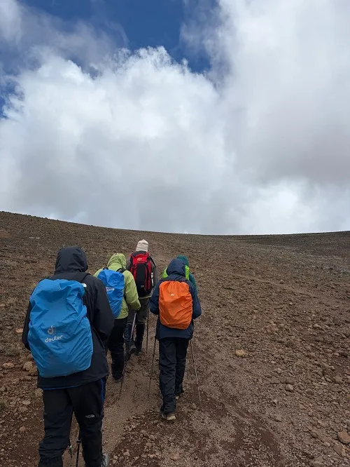 Kilimanjaro summit and Tanzania safari combination