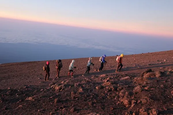 Tented camp below Kilimanjaro on the Machame Route with giant senecios