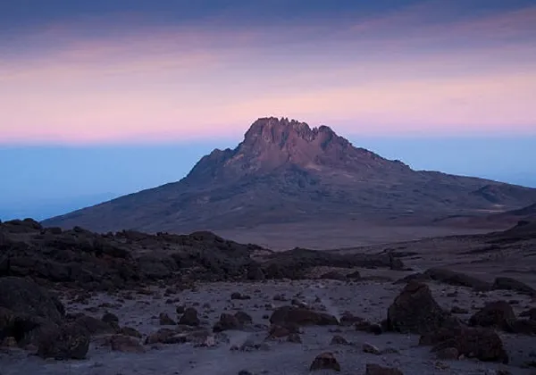 Kilimanjaro summit and glaciers at sunrise seen from the northern face