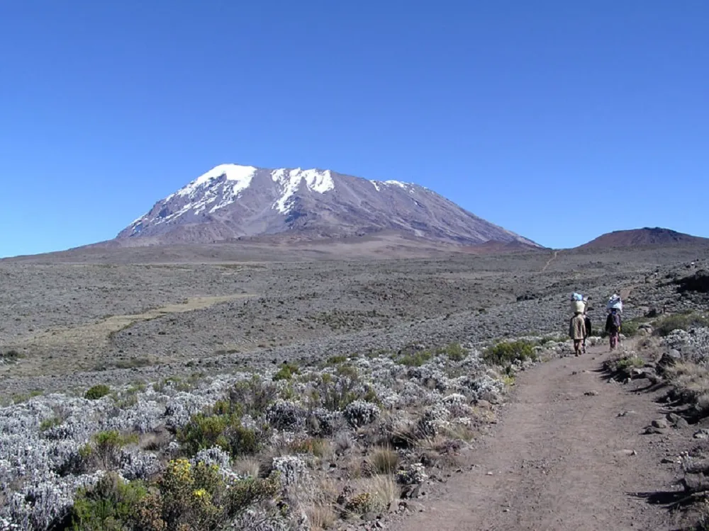 Umbwe Route Kilimanjaro 6 Days