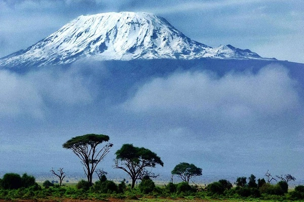 Kilimanjaro day hike from Marangu Gate — rainforest trail