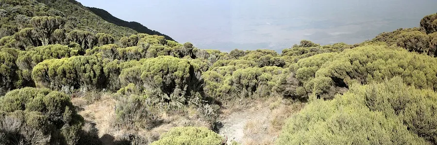 Mount Meru Day 1 — Arusha National Park grassland giraffe Momella Lakes