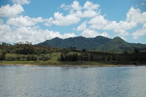 Flamingoes on Momella Lakes in Arusha National Park, Tanzania