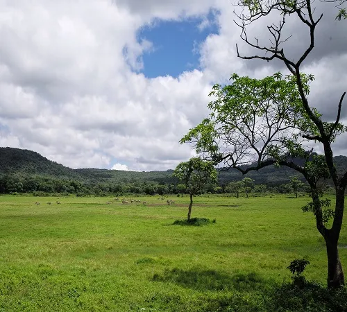 Tanzania Northern Circuit safari
