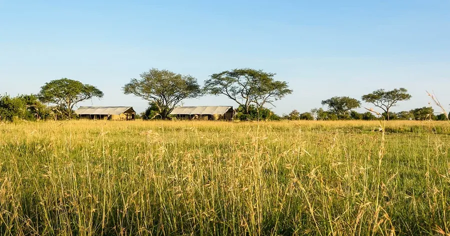Golden hour on the Serengeti plains with elephant silhouettes