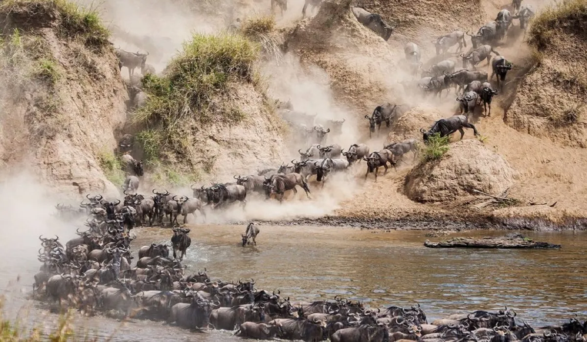 Serengeti Mara River crossings after AFCON 2027 Tanzania