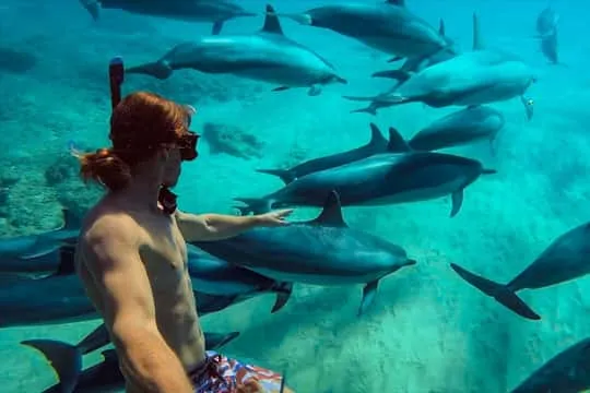 Zanzibar beach turquoise waters